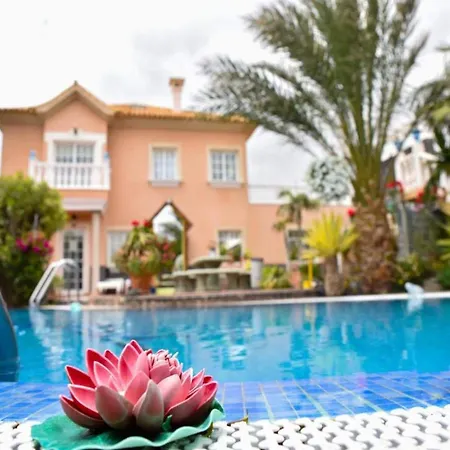 Apartment With A View Of The Community Garden El Médano